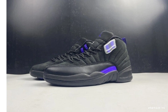 CT8013-005 12 Dark CT8013-005 Concord Air Black Jordan Retro 1031